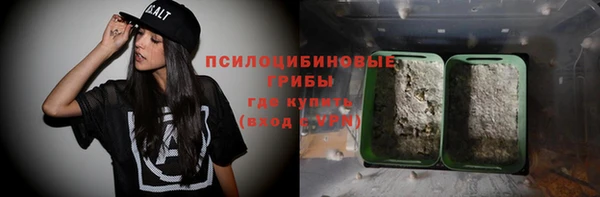 прущий лед Чердынь