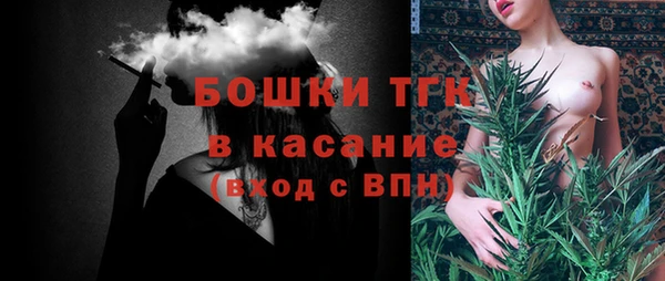 шишки Кемь
